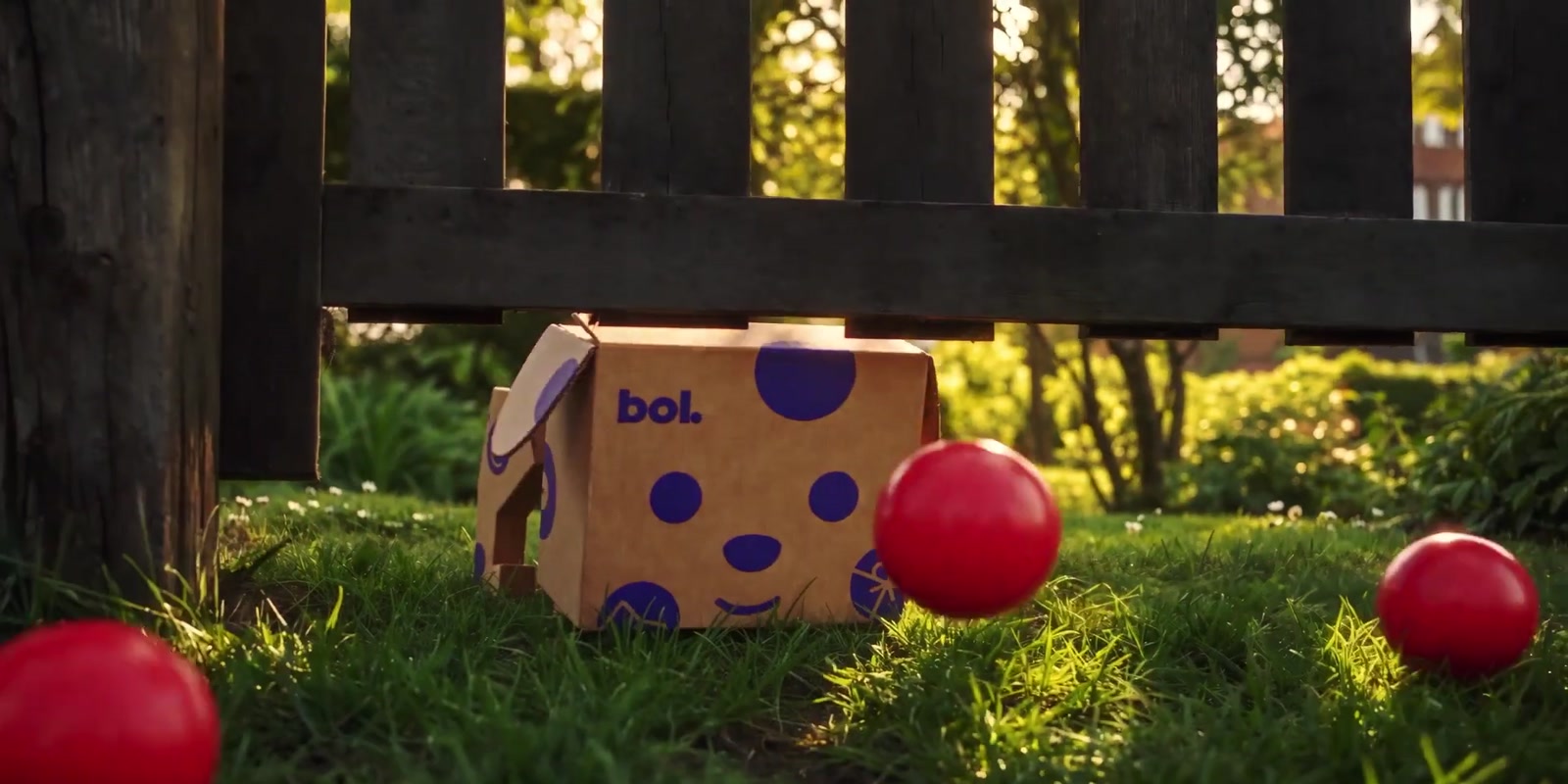 Boxie tussen rode ballen in een tuin